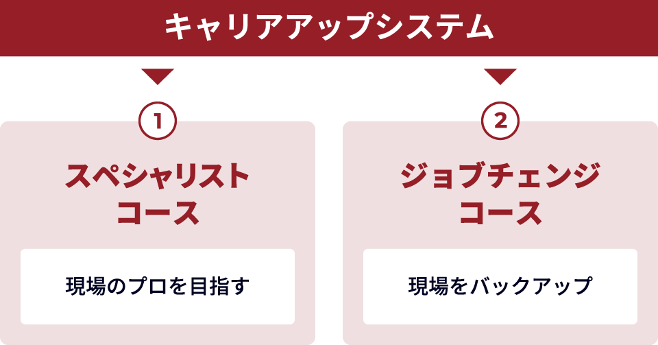 明るい未来に向けたキャリアアップシステム